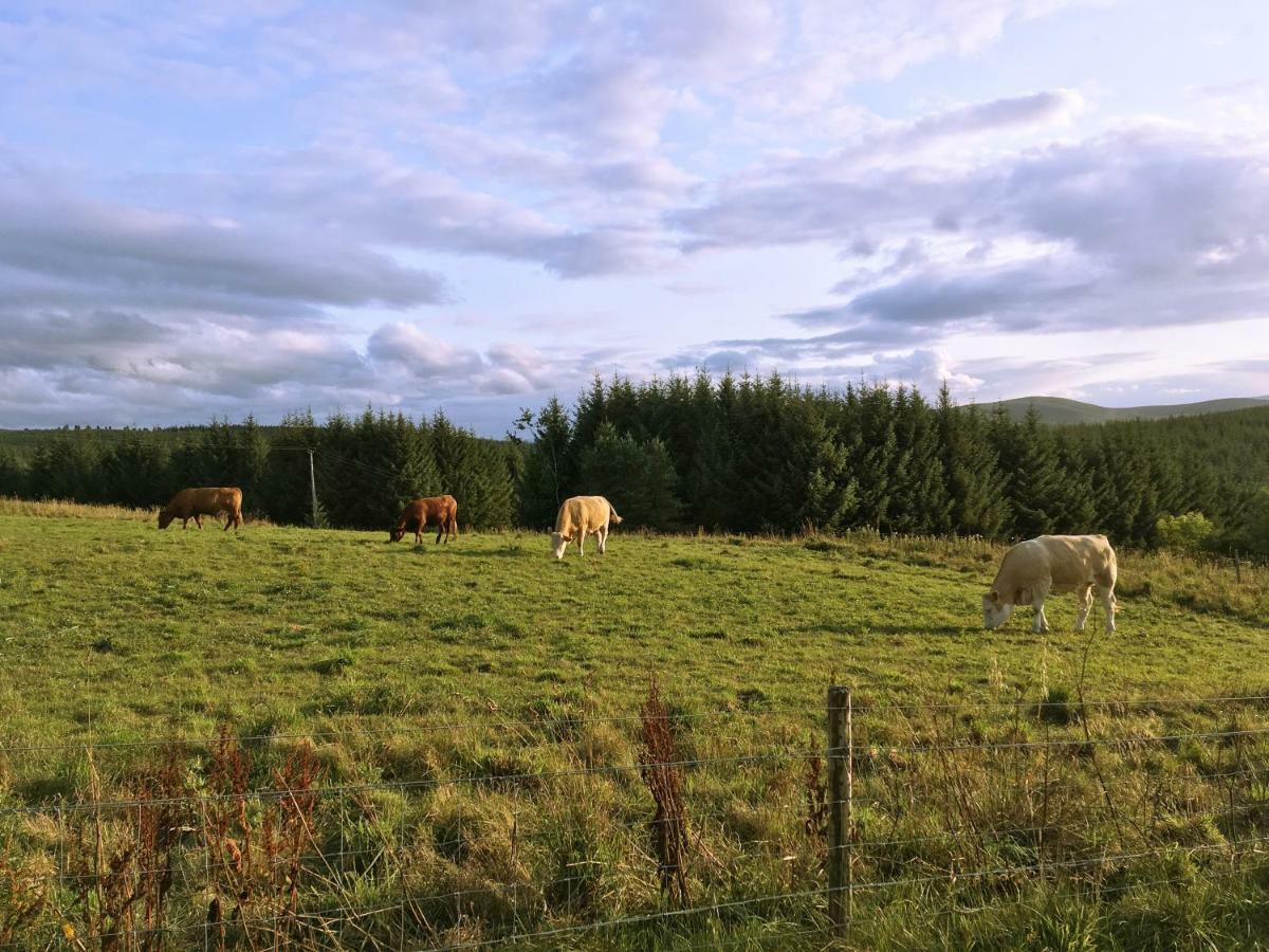 Jasmine Lodge Ballindalloch Exteriér fotografie